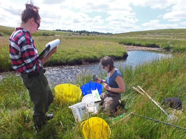Biologists recording the catch downstream of the Ponesk. The results were excellent and the best on the river this year.