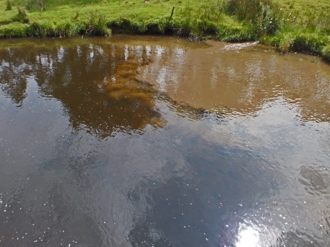 Pollution entering the river at Nether Wellwood Bridge. 