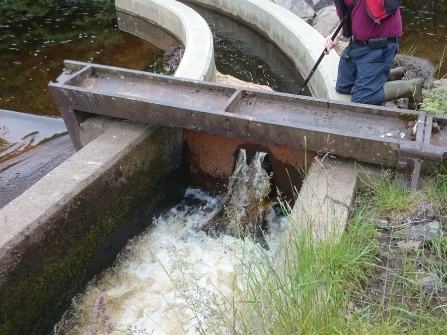 CCT staff removing another deliberate blockage at the fish pass in Catrine. 