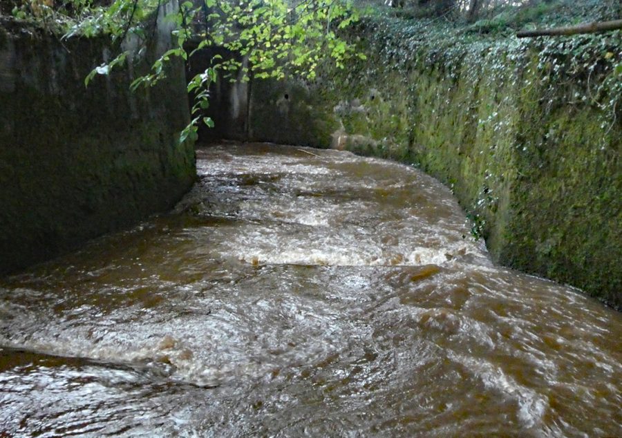 Baffles receive their first real flow of water River Ayr District