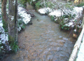 DSCF5142-A1100x800