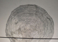 2-DSCF8345-A1100x800