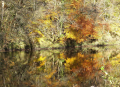DSCF3217-A1100x800